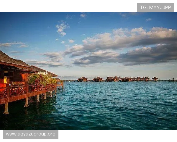 最新沙巴真人游戏完整版下载资源大全及安装步骤详细介绍