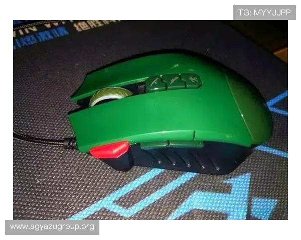 真人滚球官方地址官方网站，官方验证确保游戏公平透明